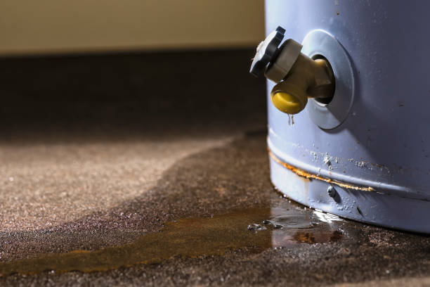 Best Professional water damage repair  in Ilchester, MD