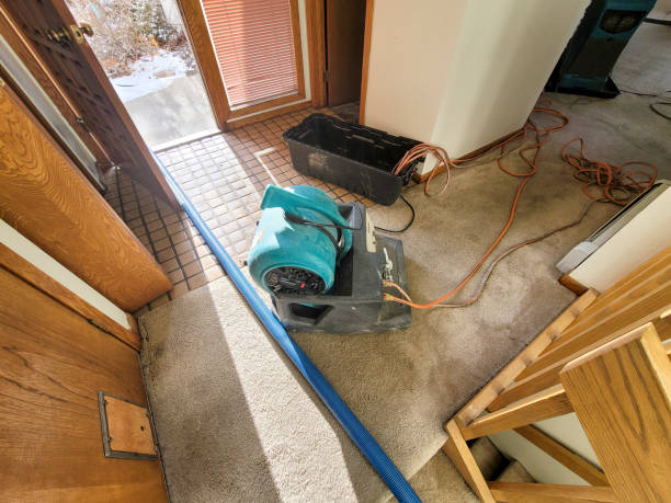 Best Flood damage cleanup  in Ilchester, MD