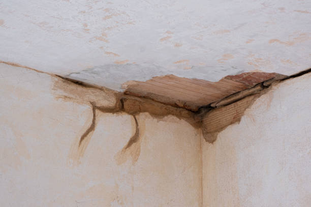 Best Carpet water damage restoration  in Ilchester, MD