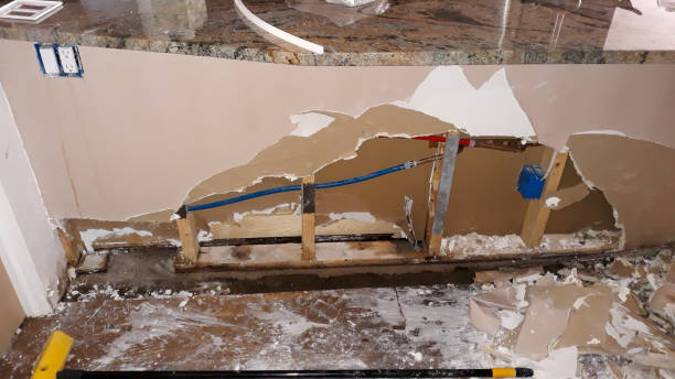 Best Local water damage restoration  in Ilchester, MD
