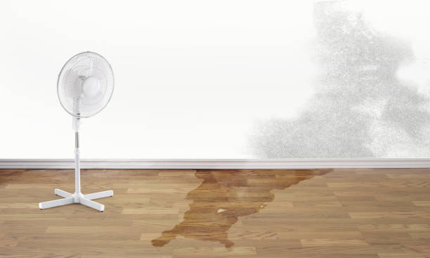 Best Water damage restoration experts  in Ilchester, MD