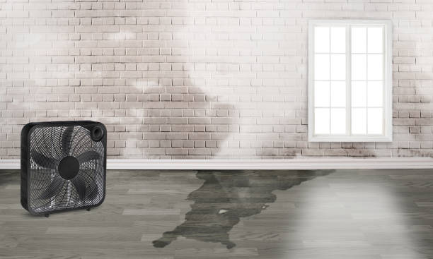 Best Flood restoration services  in Ilchester, MD