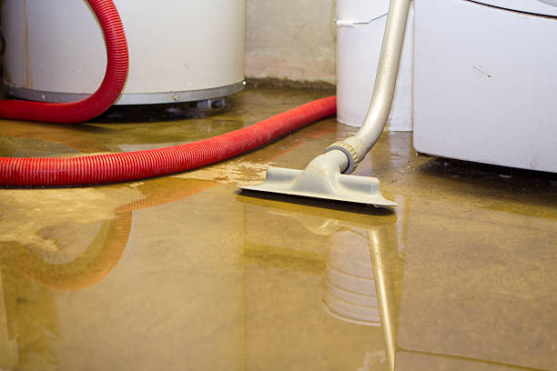 Best Flood restoration services  in Ilchester, MD