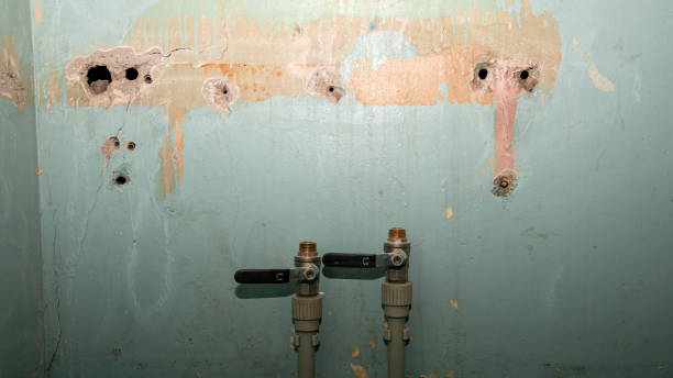 24/7 water damage repair in Ilchester, MD