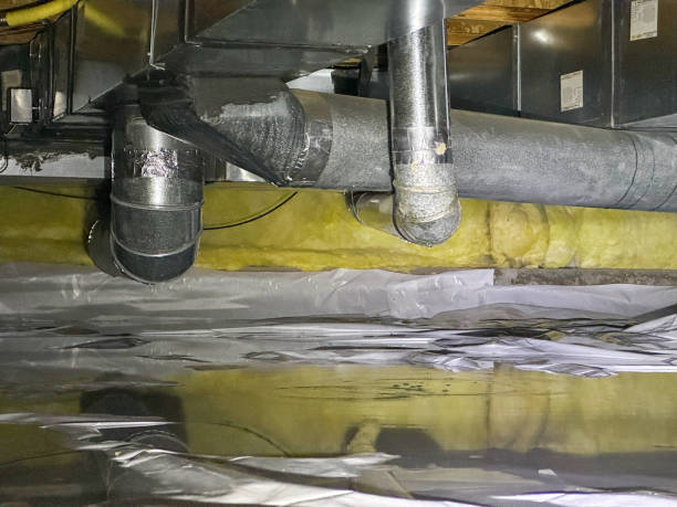 Best Water damage restoration near me  in Ilchester, MD