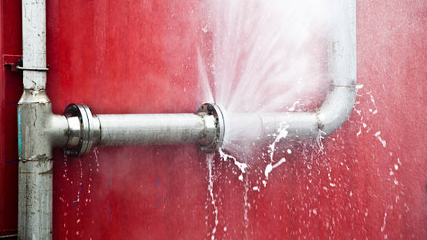 Best Water damage restoration near me  in Ilchester, MD