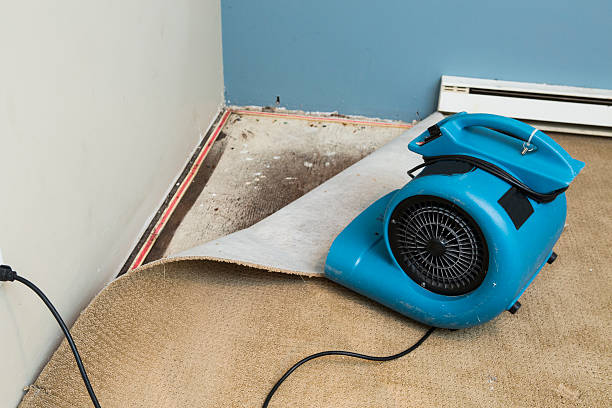 Best Water damage contractors near me  in Ilchester, MD